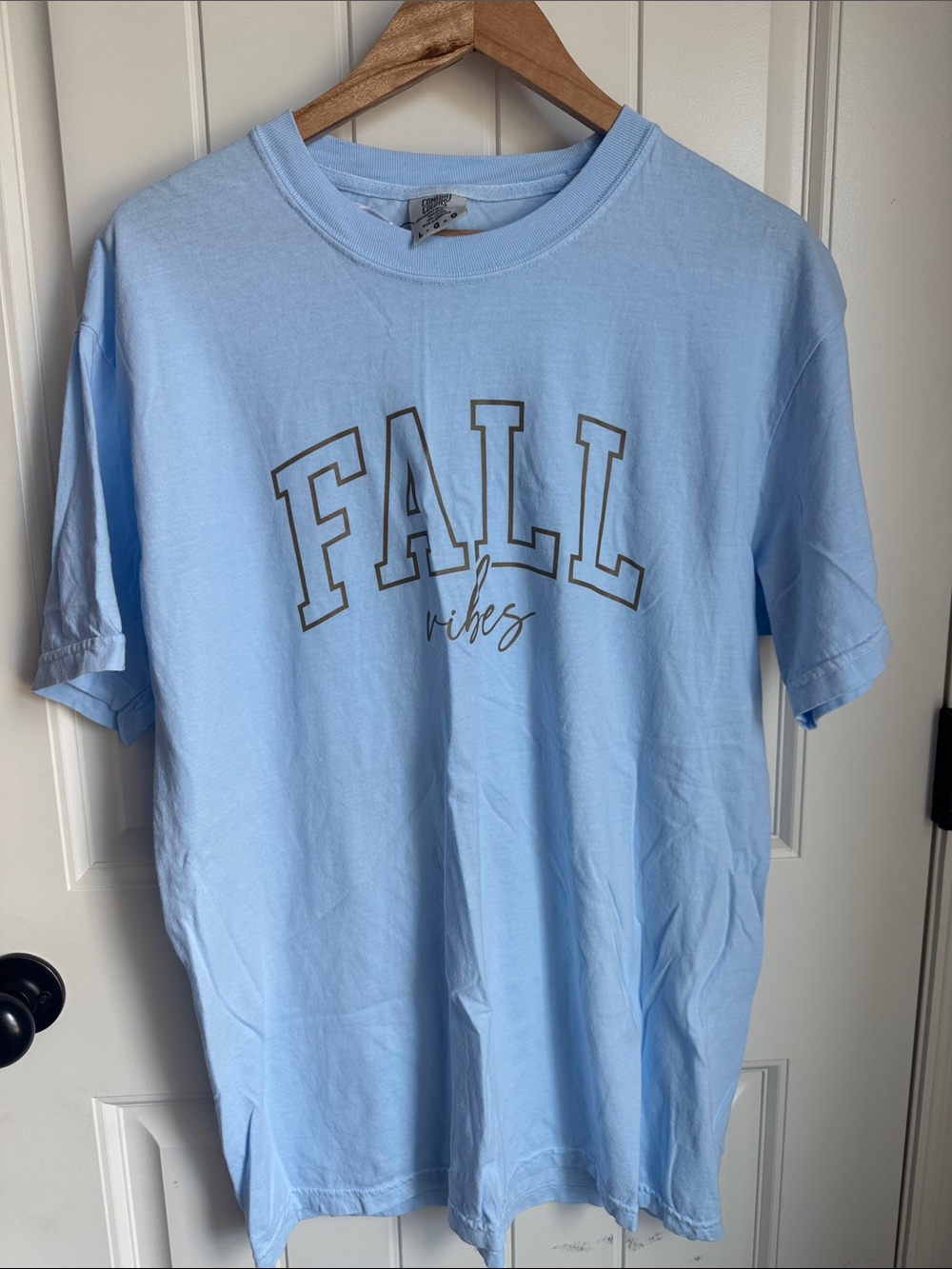 Comfort Colors Light Blue "FALL vibes" Short Sleeve Tee